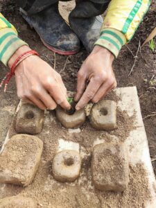 Soil Blocks