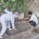 Lavender Plantation