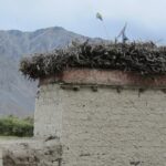 Saving for winter - Fodder Firewood