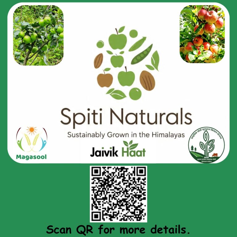 WhatsApp Image 2025-10-16 at 23.43.32 (1)