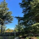 WhatsApp Image 2026-02-17 at 2.01.21 AM (3)