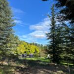 WhatsApp Image 2026-02-17 at 2.01.22 AM (1)