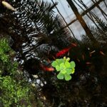 WhatsApp Image 2026-02-17 at 2.01.25 AM