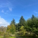 WhatsApp Image 2026-02-17 at 2.01.28 AM (1)