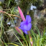 WhatsApp Image 2026-02-17 at 2.01.30 AM (1)