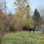 WhatsApp Image 2026-02-17 at 2.01.30 AM