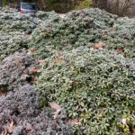 WhatsApp Image 2026-02-17 at 2.01.30 AM (2)