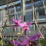 WhatsApp Image 2026-02-17 at 2.01.30 AM (3)