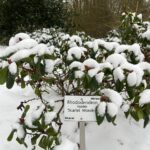 WhatsApp Image 2026-02-17 at 2.01.31 AM (4)