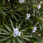 WhatsApp Image 2026-02-17 at 2.01.33 AM