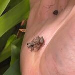 WhatsApp Image 2026-02-17 at 2.02.44 AM (3)