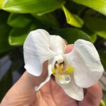 WhatsApp Image 2026-02-17 at 2.02.45 AM