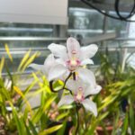 WhatsApp Image 2026-02-17 at 2.02.46 AM