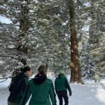 WhatsApp Image 2026-02-17 at 2.02.47 AM