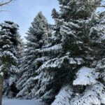 WhatsApp Image 2026-02-17 at 2.02.48 AM