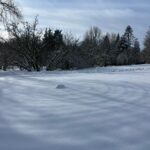 WhatsApp Image 2026-02-17 at 2.02.49 AM (1)