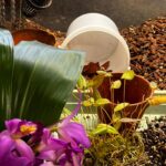 WhatsApp Image 2026-02-17 at 2.02.52 AM (1)