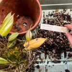 WhatsApp Image 2026-02-17 at 2.02.52 AM (2)