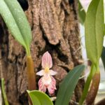 WhatsApp Image 2026-02-17 at 2.02.52 AM (4)