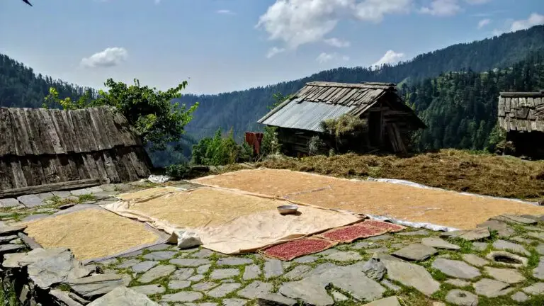 IMG_20180929_111622_hdr